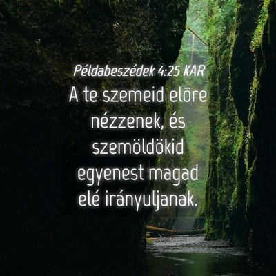 Picture 04 - Példabeszédek 4:25 KAR - A te szemeid elõre nézzenek, és szemöldökid - Bible Verse Picture