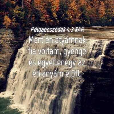 Picture 04 - Példabeszédek 4:3 KAR - Mert én atyámnak fia voltam, gyenge és - Bible Verse Picture