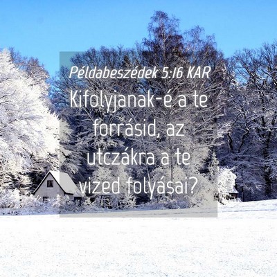 Picture 04 - Példabeszédek 5:16 KAR - Kifolyjanak-é a te forrásid, az utczákra a te - Bible Verse Picture