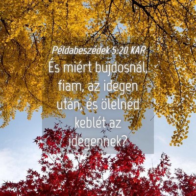 Picture 04 - Példabeszédek 5:20 KAR - És miért bujdosnál, fiam, az idegen után, és - Bible Verse Picture