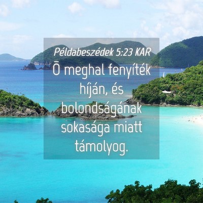 Picture 04 - Példabeszédek 5:23 KAR - Õ meghal fenyíték híján, és bolondságának - Bible Verse Picture