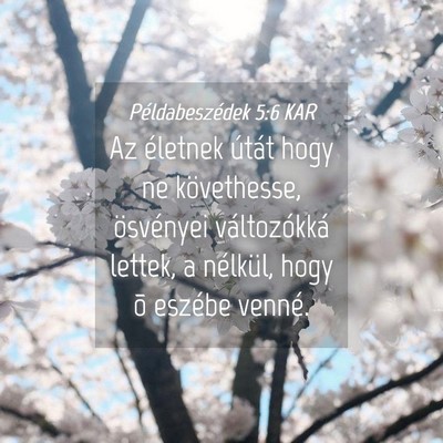 Picture 04 - Példabeszédek 5:6 KAR - Az életnek útát hogy ne követhesse, - Bible Verse Picture