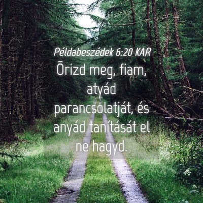 Picture 04 - Példabeszédek 6:20 KAR - Õrizd meg, fiam, atyád parancsolatját, és - Bible Verse Picture
