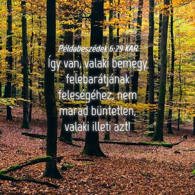Picture 04 - Példabeszédek 6:29 KAR - Így van, valaki bemegy felebarátjának - Bible Verse Picture