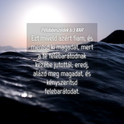 Picture 04 - Példabeszédek 6:3 KAR - Ezt míveld azért fiam, és mentsd ki magadat, - Bible Verse Picture