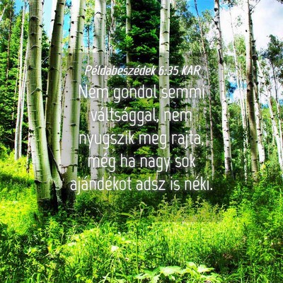Picture 04 - Példabeszédek 6:35 KAR - Nem gondol semmi váltsággal, nem nyugszik meg - Bible Verse Picture