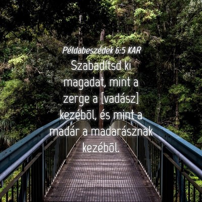 Picture 04 - Példabeszédek 6:5 KAR - Szabadítsd ki magadat, mint a zerge a [vadász] - Bible Verse Picture