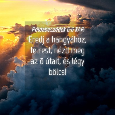 Picture 04 - Példabeszédek 6:6 KAR - Eredj a hangyához, te rest, nézd meg az õ - Bible Verse Picture