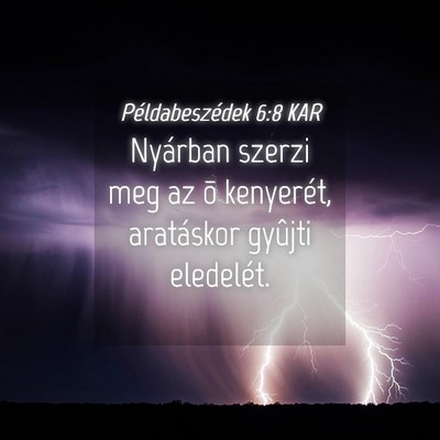 Picture 04 - Példabeszédek 6:8 KAR - Nyárban szerzi meg az õ kenyerét, aratáskor - Bible Verse Picture