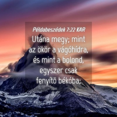 Picture 04 - Példabeszédek 7:22 KAR - Utána megy; mint az ökör a vágóhídra, és - Bible Verse Picture