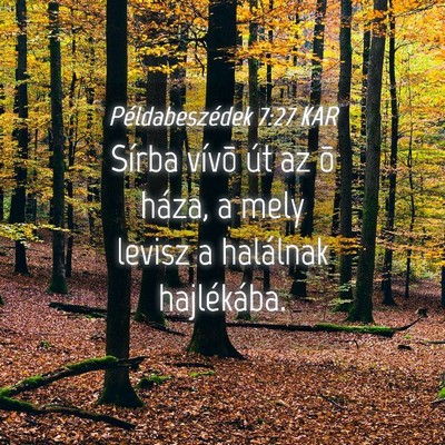Picture 04 - Példabeszédek 7:27 KAR - Sírba vívõ út az õ háza, a mely levisz a - Bible Verse Picture