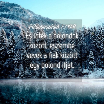 Picture 04 - Példabeszédek 7:7 KAR - És láték a bolondok között, eszembe vevék a - Bible Verse Picture