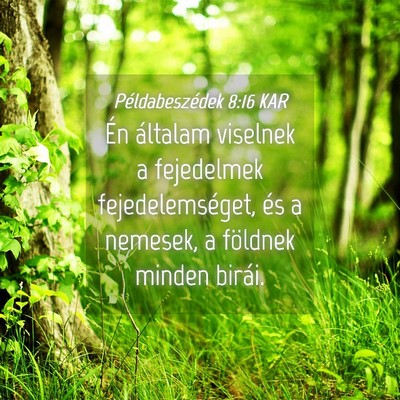 Picture 04 - Példabeszédek 8:16 KAR - Én általam viselnek a fejedelmek - Bible Verse Picture
