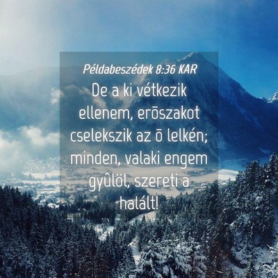 Picture 04 - Példabeszédek 8:36 KAR - De a ki vétkezik ellenem, erõszakot cselekszik - Bible Verse Picture