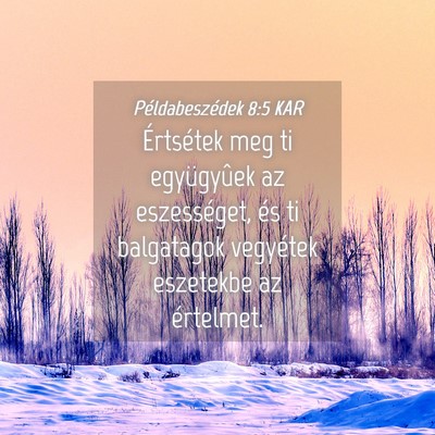 Picture 04 - Példabeszédek 8:5 KAR - Értsétek meg ti együgyûek az eszességet, és - Bible Verse Picture