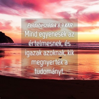 Picture 04 - Példabeszédek 8:9 KAR - Mind egyenesek az értelmesnek, és igazak - Bible Verse Picture