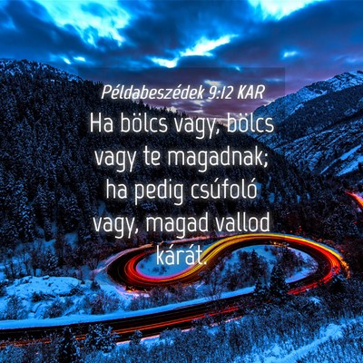 Picture 04 - Példabeszédek 9:12 KAR - Ha bölcs vagy, bölcs vagy te magadnak; ha pedig - Bible Verse Picture