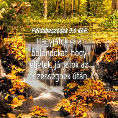 Picture 04 - Példabeszédek 9:6 KAR - Hagyjátok el a bolondokat, hogy éljetek, - Bible Verse Picture
