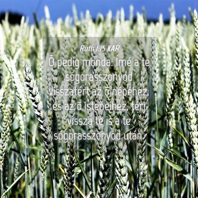Picture 04 - Ruth 1:15 KAR - Õ pedig monda: Ímé a te sógorasszonyod - Bible Verse Picture
