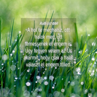 Picture 04 - Ruth 1:17 KAR - A hol te meghalsz, ott halok meg, ott temessenek - Bible Verse Picture