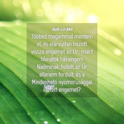 Picture 04 - Ruth 1:21 KAR - Többed magammal mentem el, és elárvultan - Bible Verse Picture