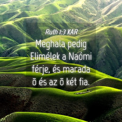 Picture 04 - Ruth 1:3 KAR - Meghala pedig Elimélek a Naómi férje, és - Bible Verse Picture