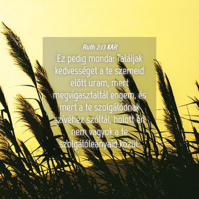 Picture 04 - Ruth 2:13 KAR - Ez pedig monda: Találjak kedvességet a te - Bible Verse Picture