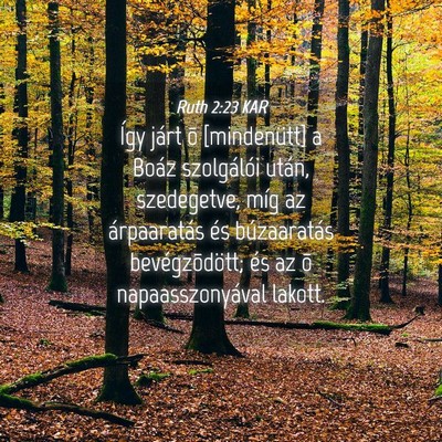 Picture 04 - Ruth 2:23 KAR - Így járt õ [mindenütt] a Boáz szolgálói - Bible Verse Picture