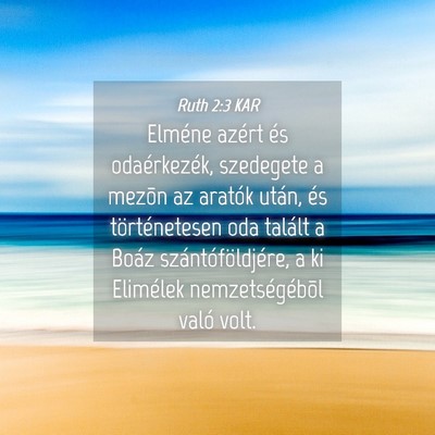 Picture 04 - Ruth 2:3 KAR - Elméne azért és odaérkezék, szedegete a - Bible Verse Picture