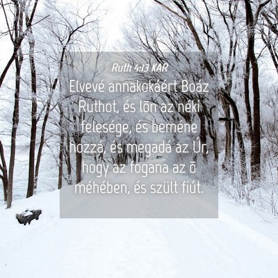 Picture 04 - Ruth 4:13 KAR - Elvevé annakokáért Boáz Ruthot, és lõn az - Bible Verse Picture
