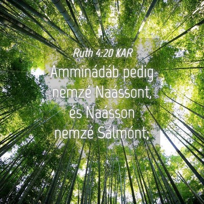 Picture 04 - Ruth 4:20 KAR - Amminádáb pedig nemzé Naássont, és Naásson - Bible Verse Picture