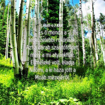 Picture 04 - Ruth 4:3 KAR - És õ monda a legközelebbi rokonnak: Azt a - Bible Verse Picture