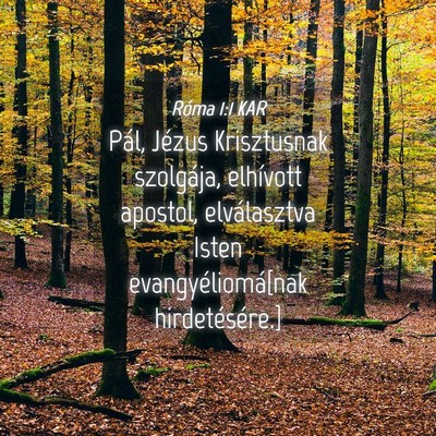 Picture 04 - Róma 1:1 KAR - Pál, Jézus Krisztusnak szolgája, elhívott - Bible Verse Picture