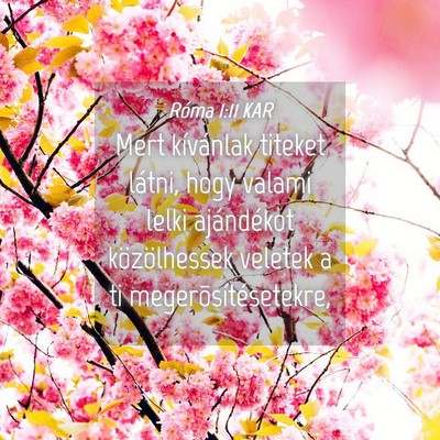 Picture 04 - Róma 1:11 KAR - Mert kívánlak titeket látni, hogy valami lelki - Bible Verse Picture