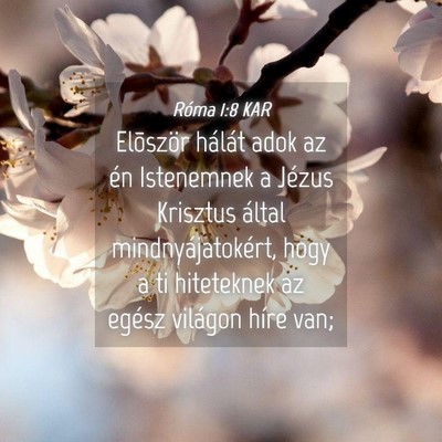 Picture 04 - Róma 1:8 KAR - Elõször hálát adok az én Istenemnek a Jézus - Bible Verse Picture