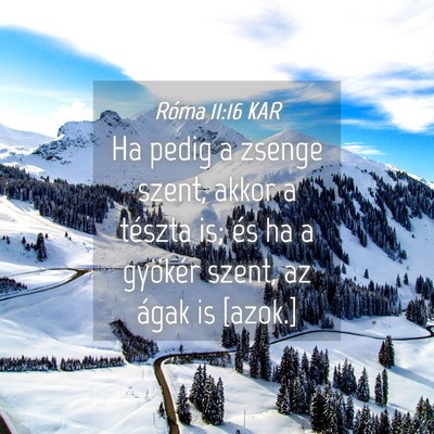 Picture 04 - Róma 11:16 KAR - Ha pedig a zsenge szent, akkor a tészta is; és - Bible Verse Picture
