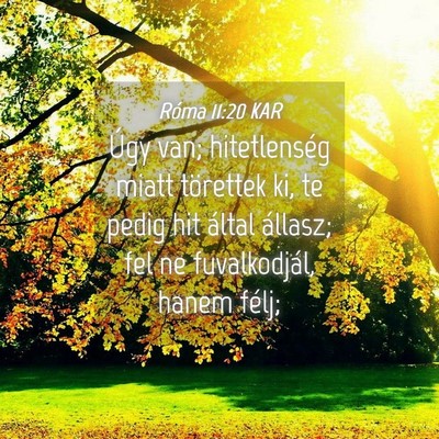 Picture 04 - Róma 11:20 KAR - Úgy van; hitetlenség miatt törettek ki, te - Bible Verse Picture