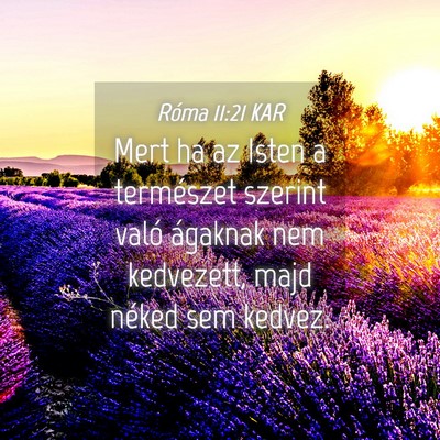Picture 04 - Róma 11:21 KAR - Mert ha az Isten a természet szerint való - Bible Verse Picture