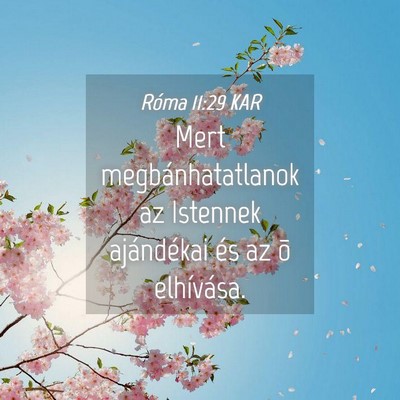 Picture 04 - Róma 11:29 KAR - Mert megbánhatatlanok az Istennek ajándékai - Bible Verse Picture