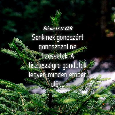 Picture 04 - Róma 12:17 KAR - Senkinek gonoszért gonoszszal ne fizessetek. A - Bible Verse Picture