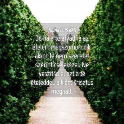Picture 04 - Róma 14:15 KAR - De ha a te atyádfia az ételért megszomorodik, - Bible Verse Picture