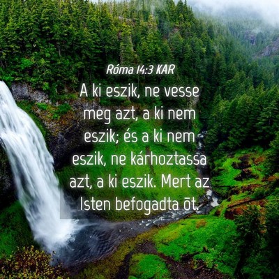 Picture 04 - Róma 14:3 KAR - A ki eszik, ne vesse meg azt, a ki nem eszik; és - Bible Verse Picture