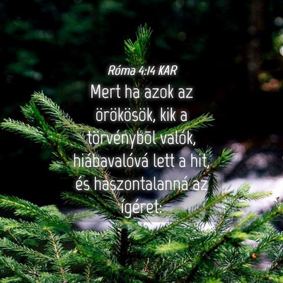 Picture 04 - Róma 4:14 KAR - Mert ha azok az örökösök, kik a törvénybõl - Bible Verse Picture