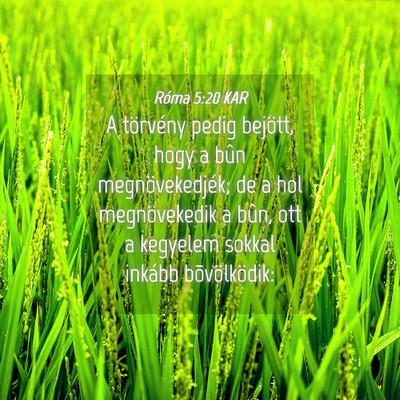 Picture 04 - Róma 5:20 KAR - A törvény pedig bejött, hogy a bûn - Bible Verse Picture