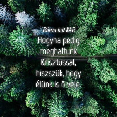 Picture 04 - Róma 6:8 KAR - Hogyha pedig meghaltunk Krisztussal, hiszszük, - Bible Verse Picture
