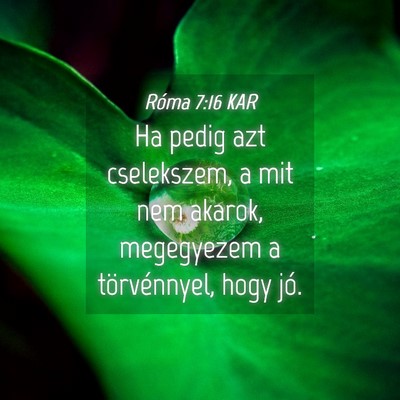 Picture 04 - Róma 7:16 KAR - Ha pedig azt cselekszem, a mit nem akarok, - Bible Verse Picture