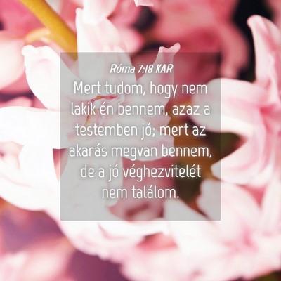 Picture 04 - Róma 7:18 KAR - Mert tudom, hogy nem lakik én bennem, azaz a - Bible Verse Picture