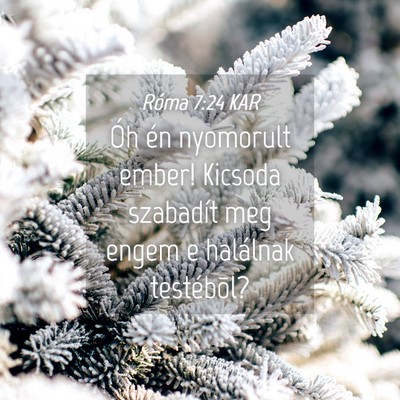 Picture 04 - Róma 7:24 KAR - Óh én nyomorult ember! Kicsoda szabadít meg - Bible Verse Picture