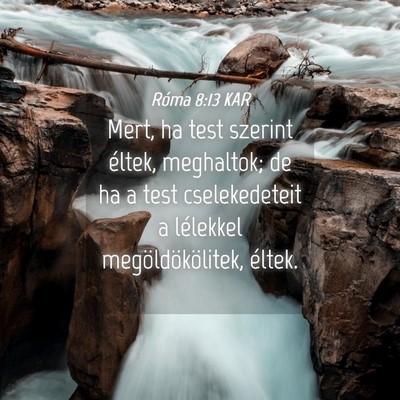 Picture 04 - Róma 8:13 KAR - Mert, ha test szerint éltek, meghaltok; de ha a - Bible Verse Picture
