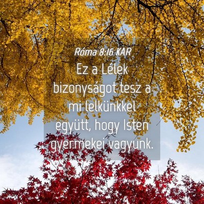 Picture 04 - Róma 8:16 KAR - Ez a Lélek bizonyságot tesz a mi lelkünkkel - Bible Verse Picture
